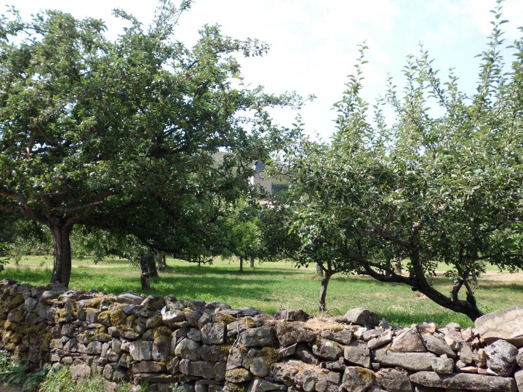 Casa Rural La Altanera Barniedo de la Reina Екстер'єр фото